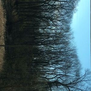 I had a few items not go out due to COVID